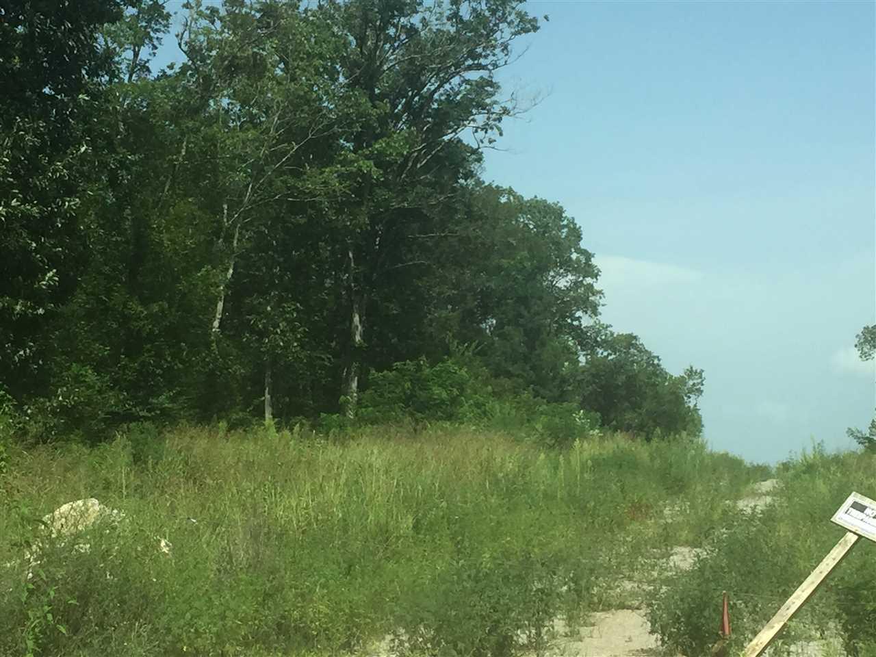 0 Bluff City Road - Photo 1
