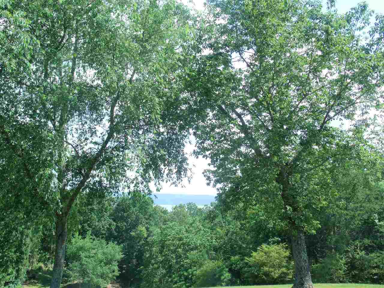 .73AC Granada Lane - Photo 1