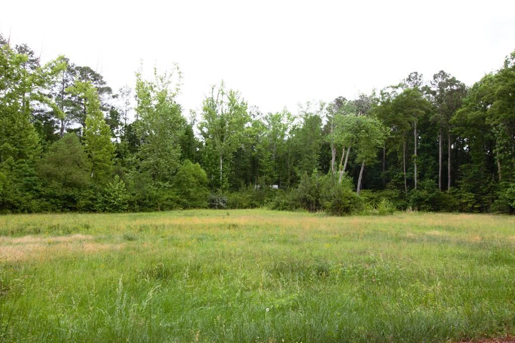 435 Mary Street - Photo 1