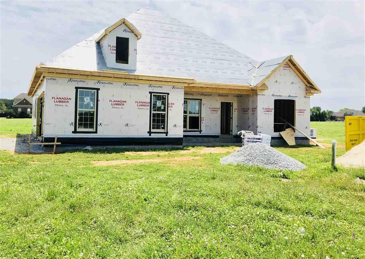 17530 Spring View Drive - Photo 1