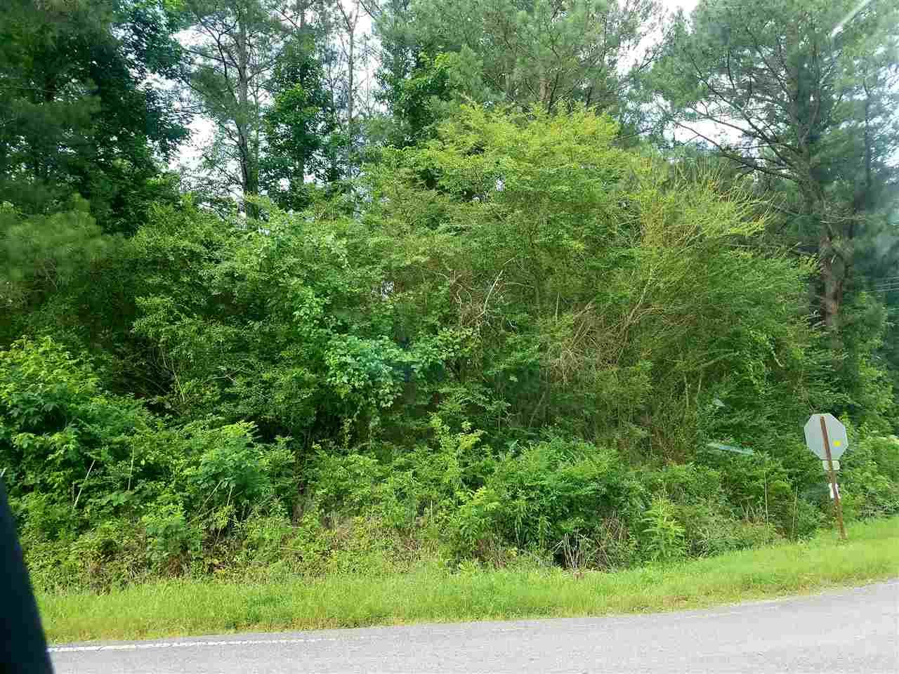 County Road 30 - Photo 1