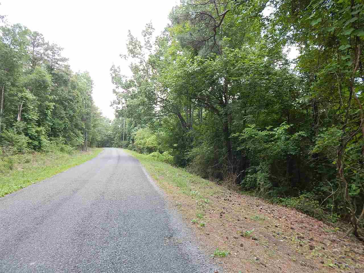 Thompson Falls Drive - Photo 1