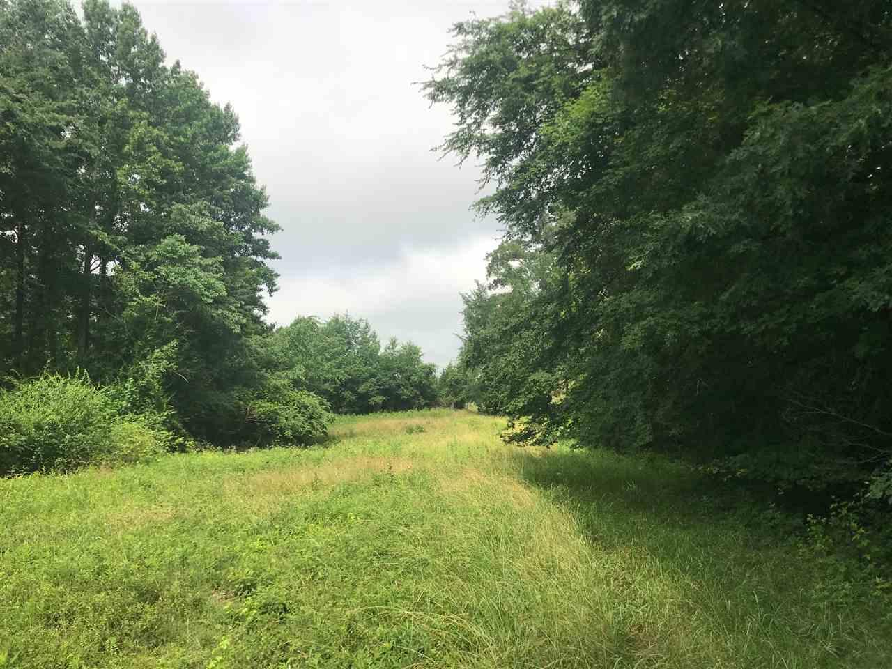 550 Stone Ridge Road - Photo 1