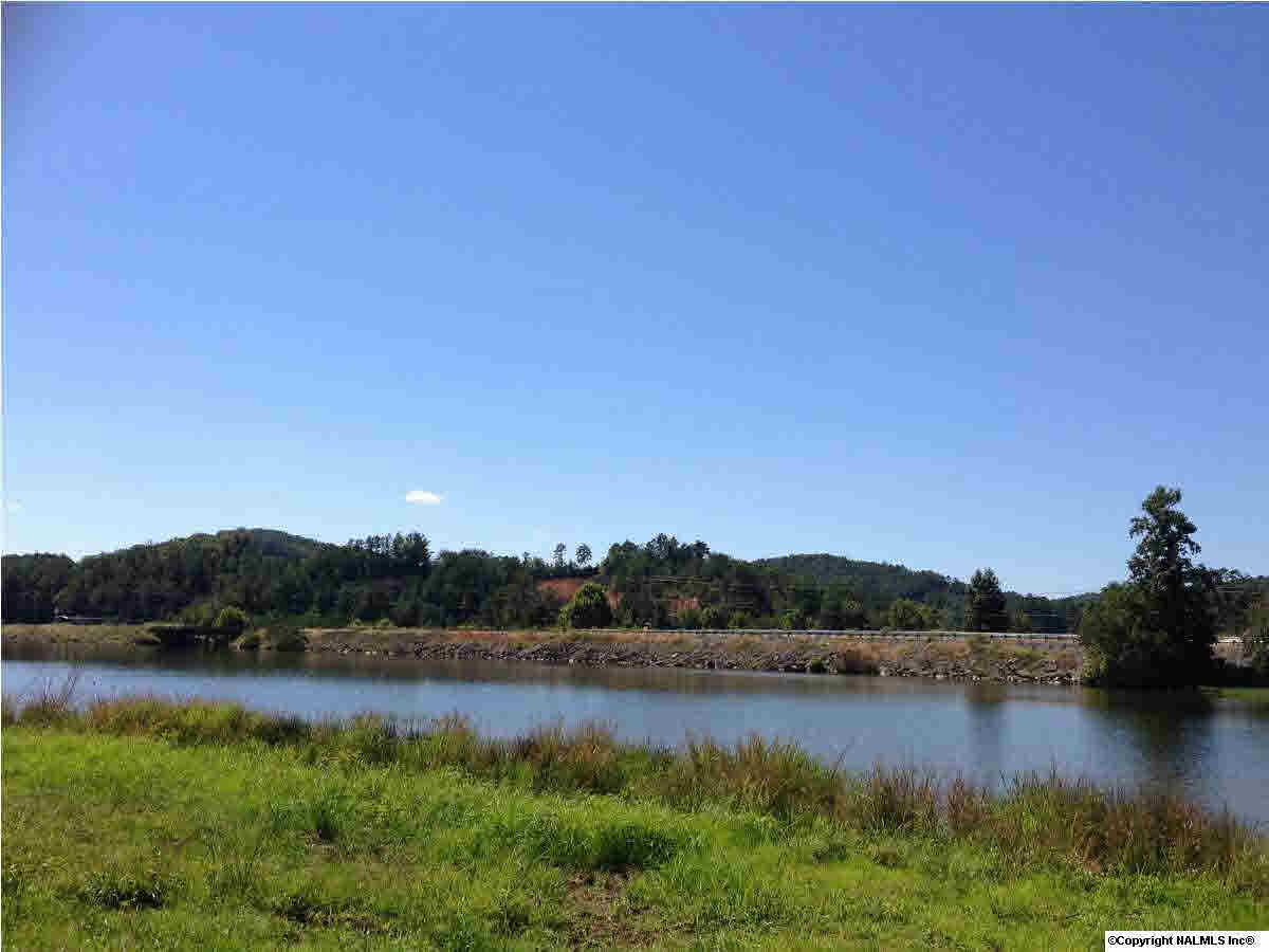 4 Alabama Hwy 273 - Photo 1
