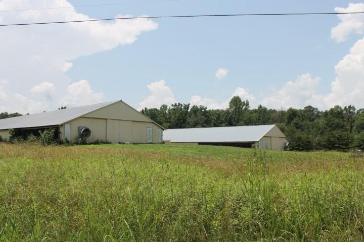 329 Gray Road - Photo 1