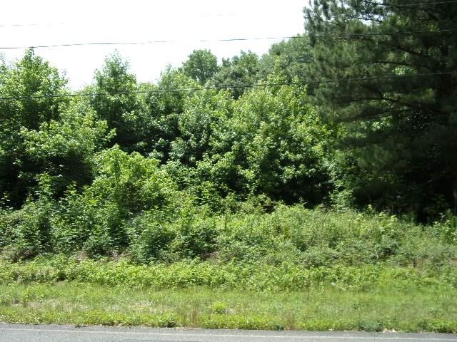0 John Hicks Road - Photo 1