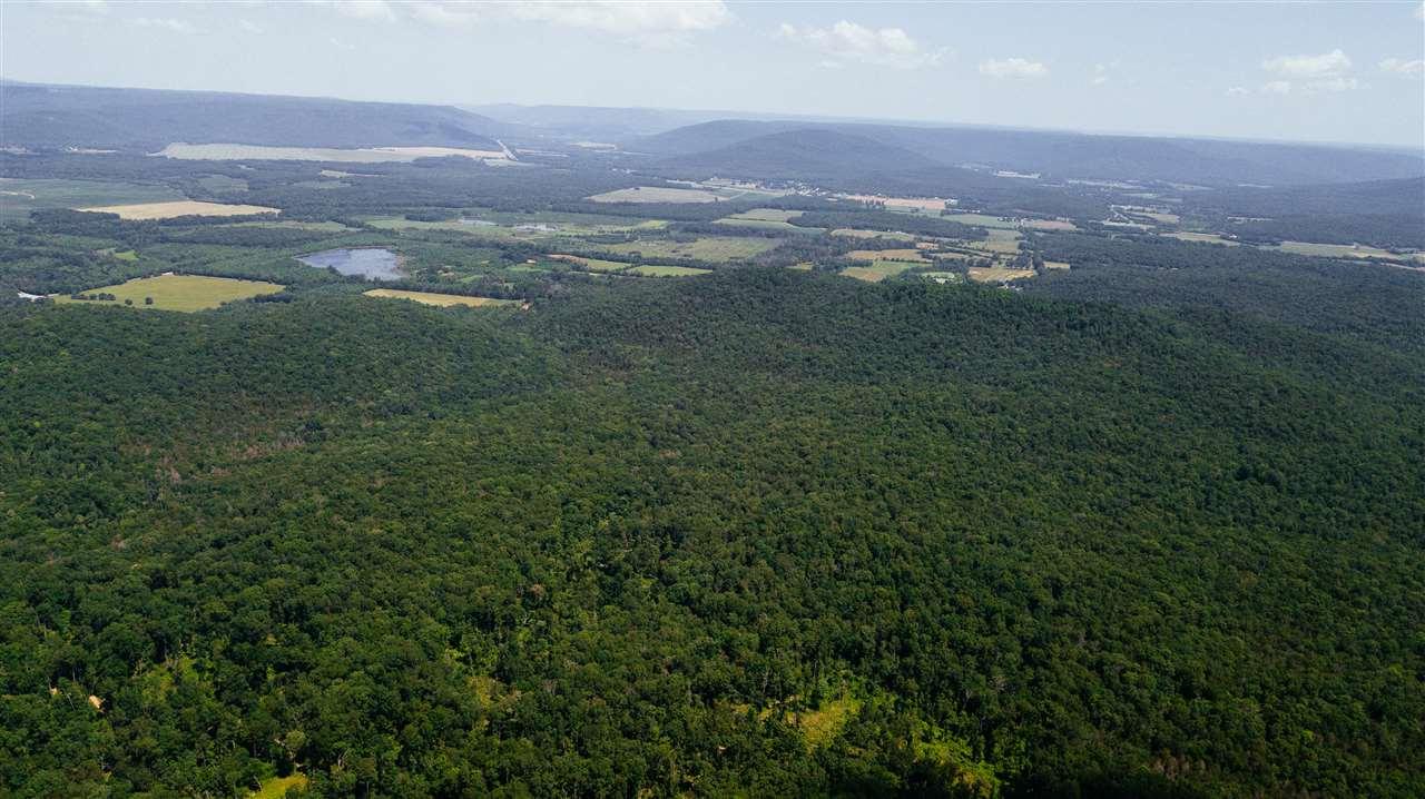 Holcomb Ridge Road - Photo 1