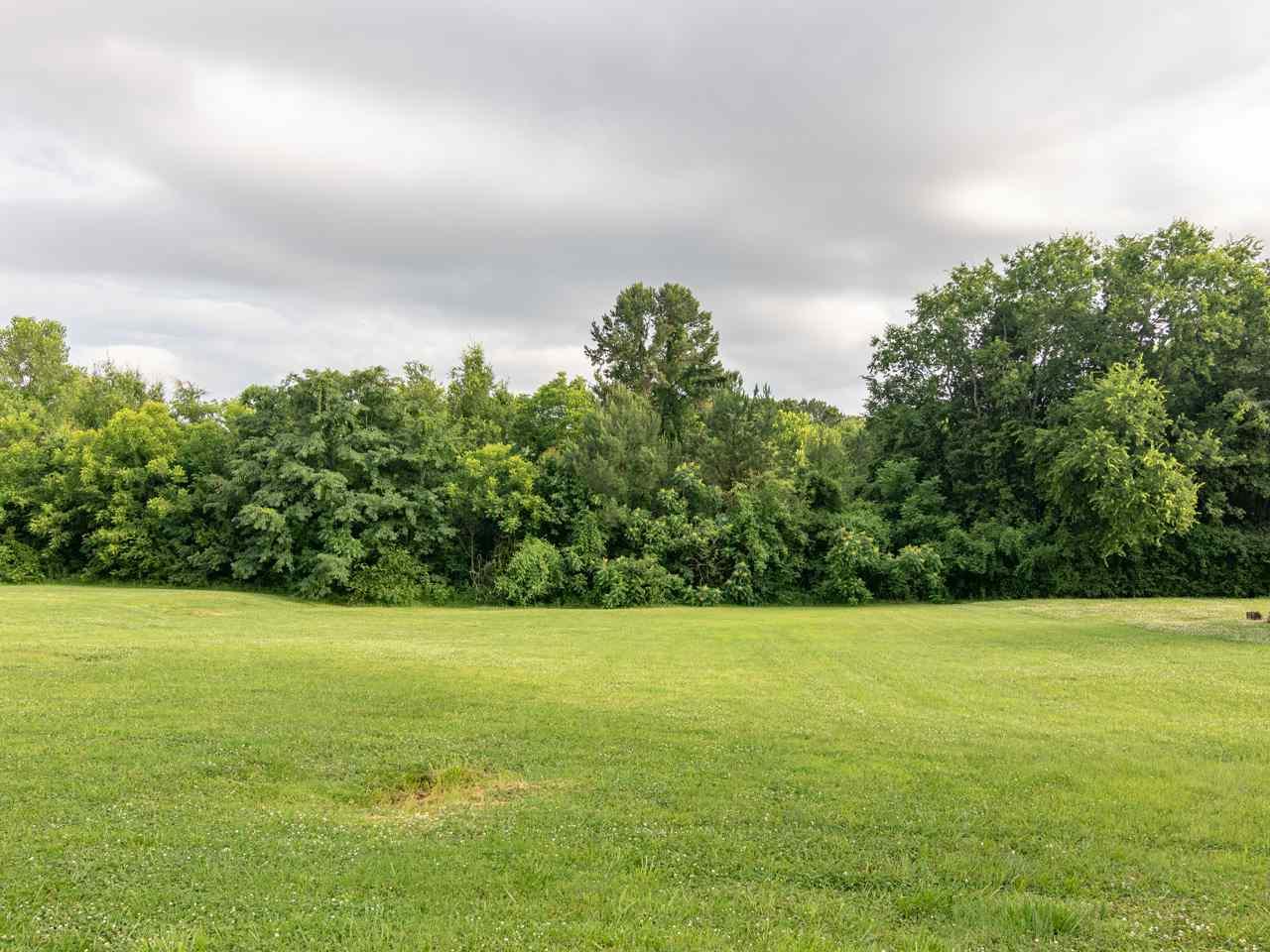 301 Green Cove Road - Photo 1