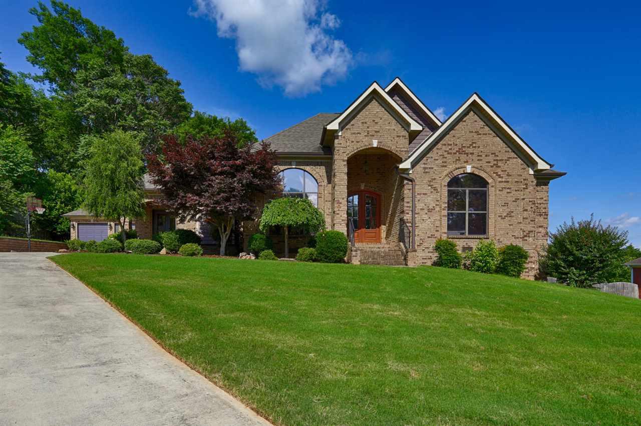 203 Steel Horse Drive - Photo 1