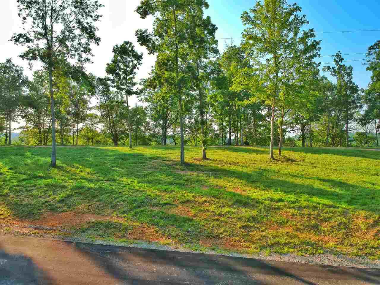 535 County Road 578 - Photo 1