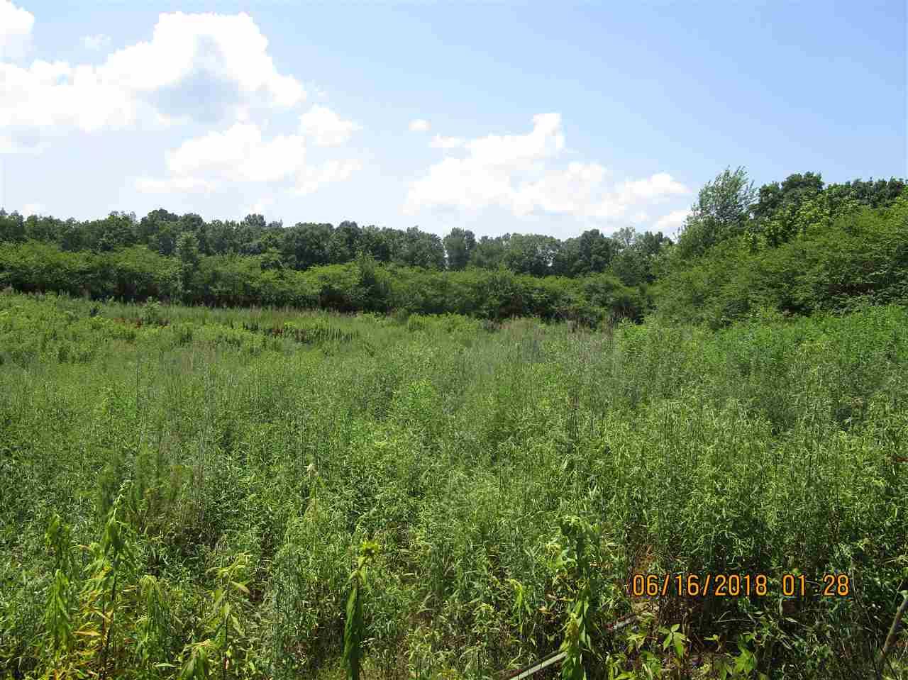 000 Walker Drive - Photo 1
