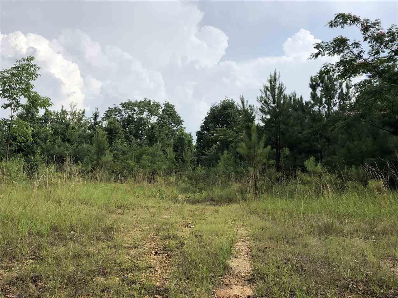 311 Dry Creek Lane - Photo 1