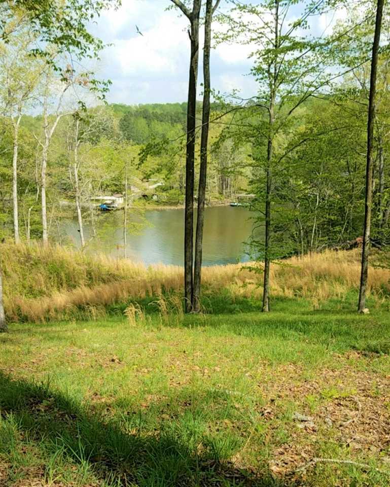 1033 County Road 404 - Photo 1 1033 County Road 404 - Photo 1