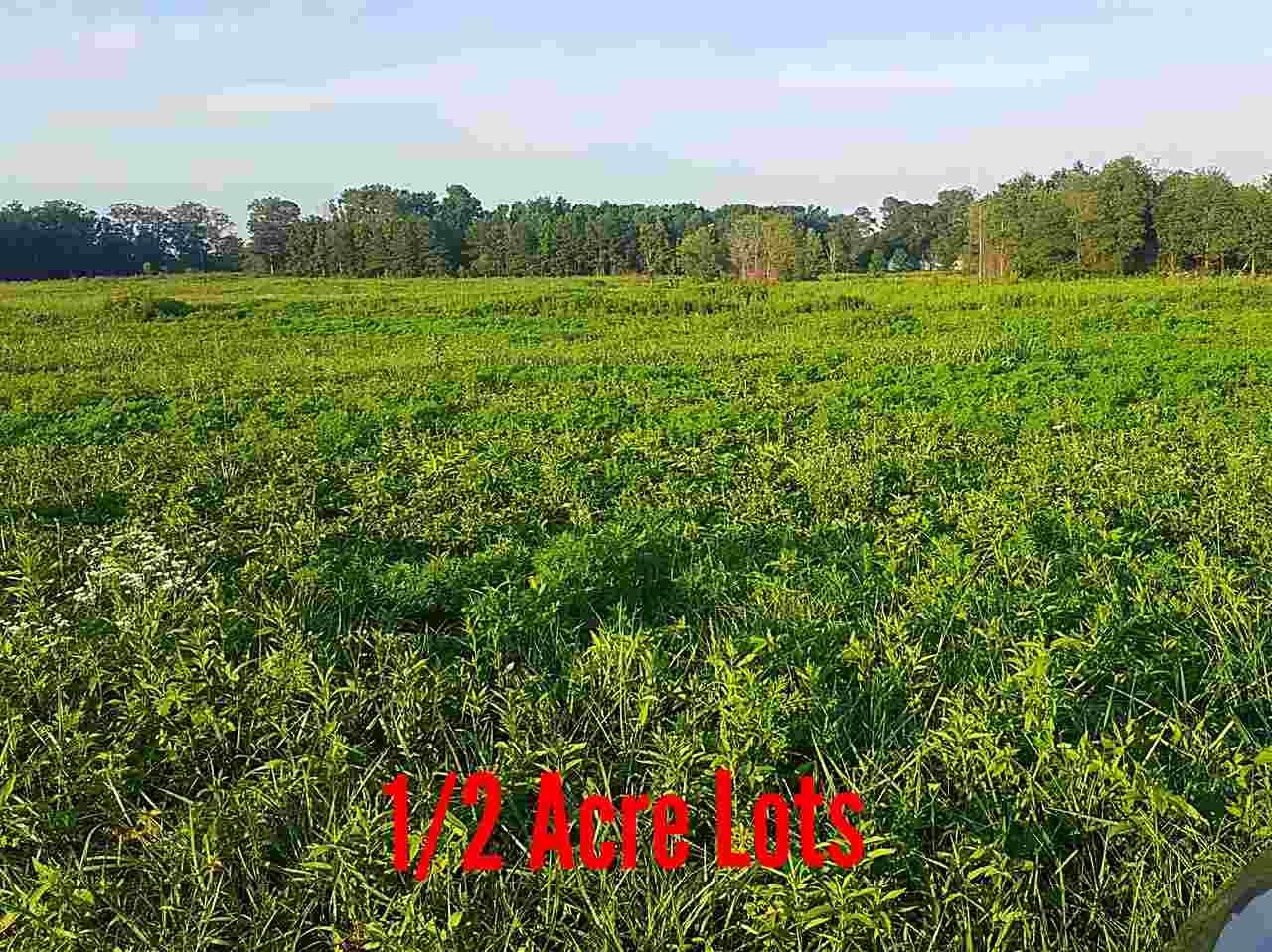 00 County Road 337 - Photo 1
