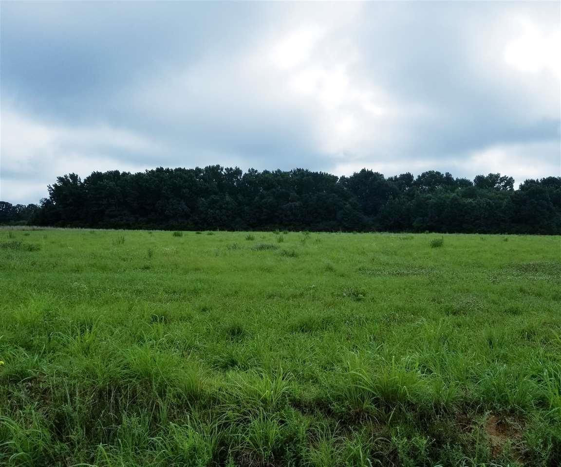Edgewood Road - Photo 1