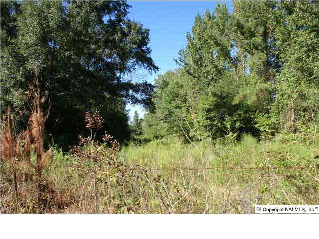 0 Hwy 67 - Photo 1