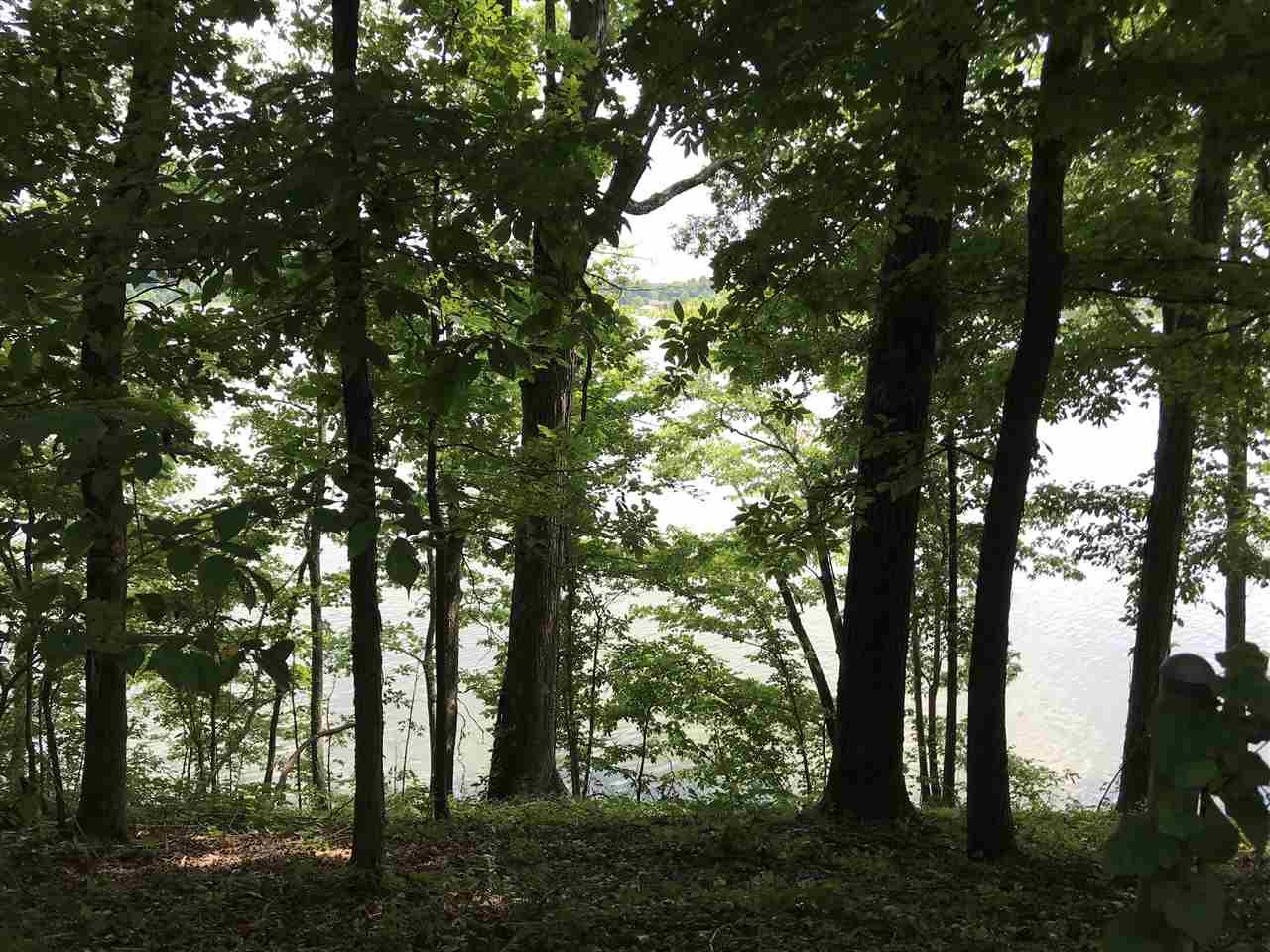 12/13 Lake Vista Drive - Photo 1