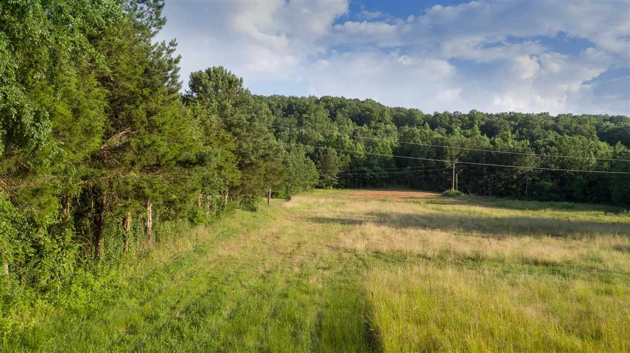 353 Lynns Dam Road - Photo 1
