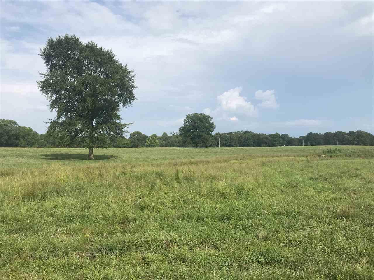 Alabama Highway 75 - Photo 1