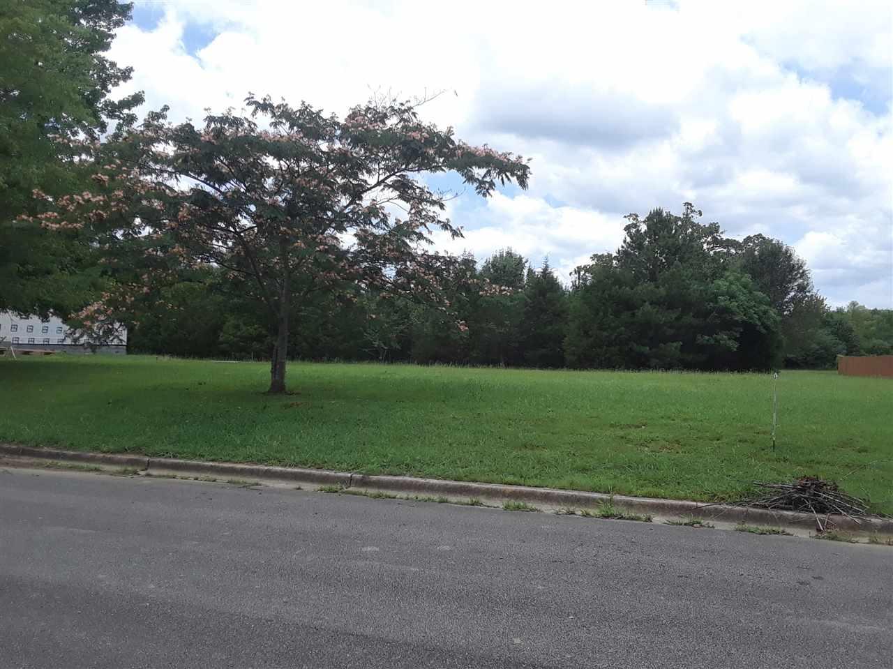 103 Guernsey Street - Photo 1