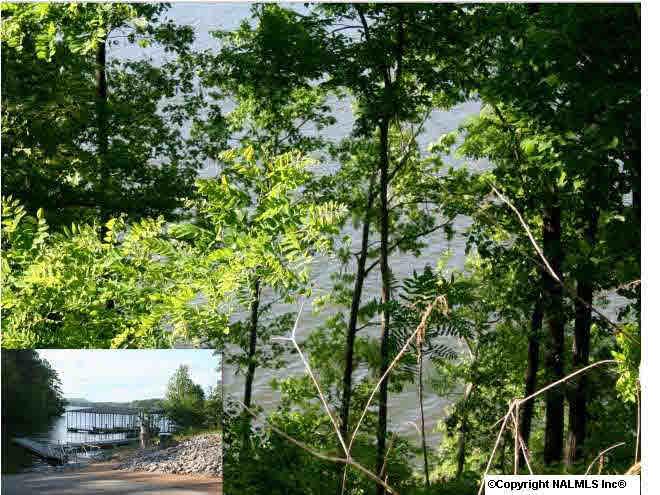 0 Monte Sano Drive - Photo 1