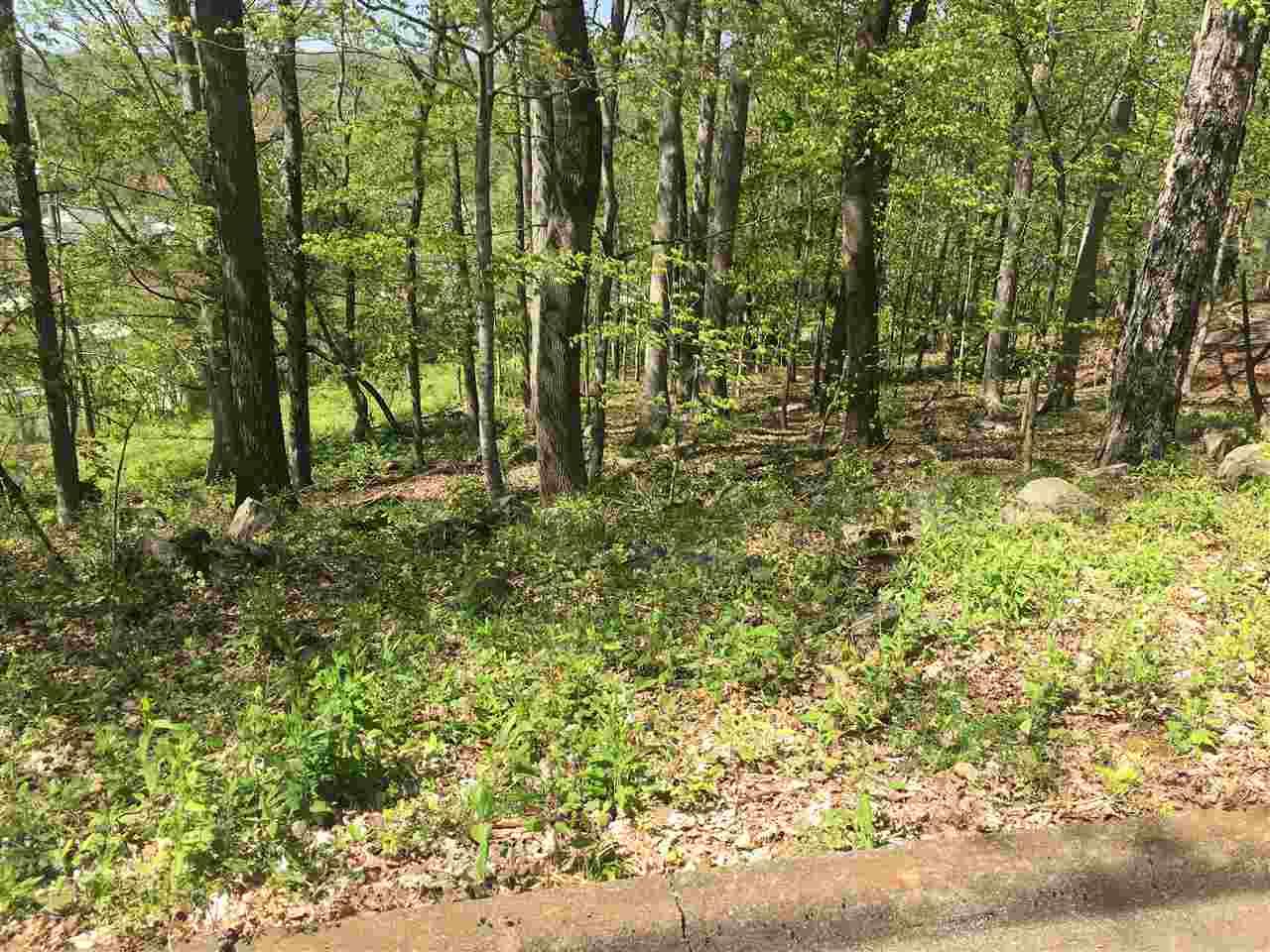 2403 Polk Drive - Photo 1