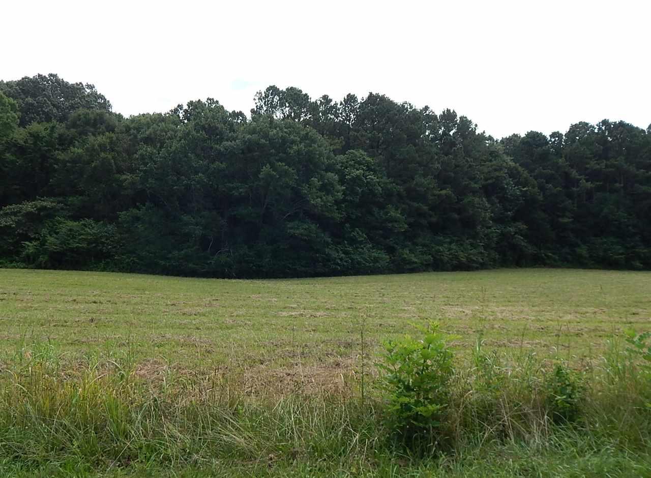 Browns Valley Road - Photo 1