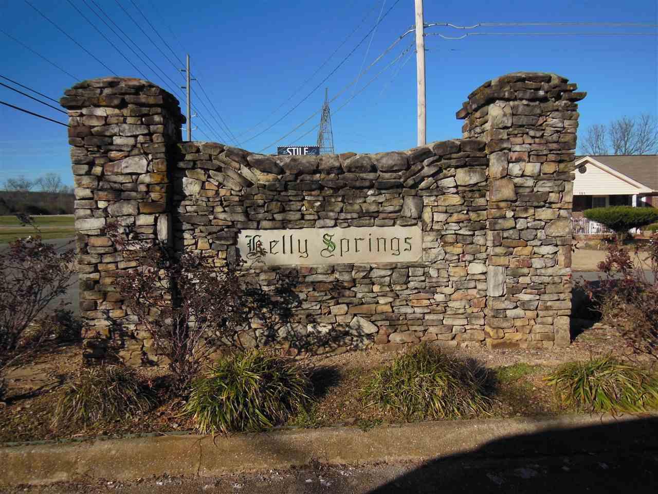 134 Springview Lane - Photo 1