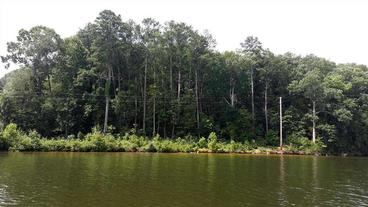 Lot 3 County Road 147 - Photo 1