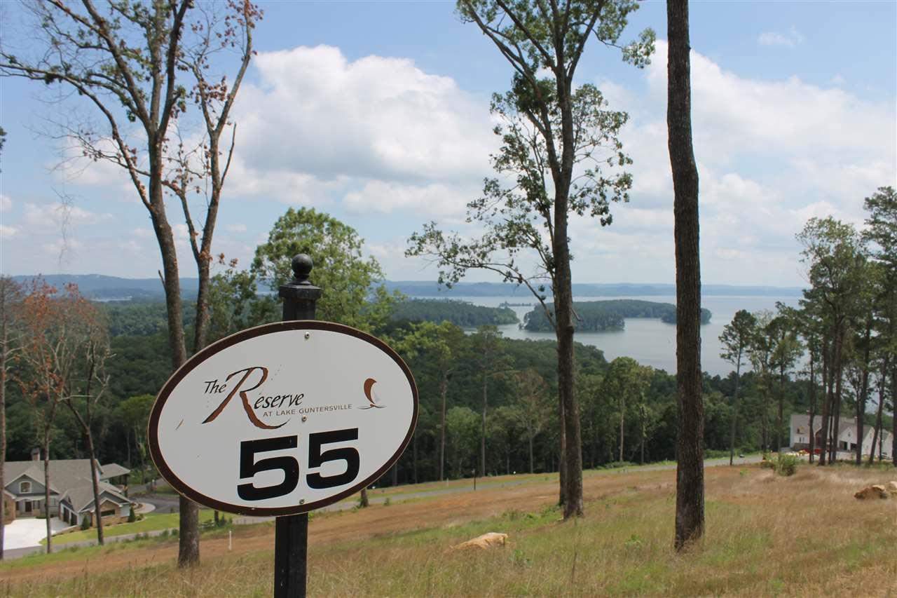 55 Fall Creek Drive - Photo 1