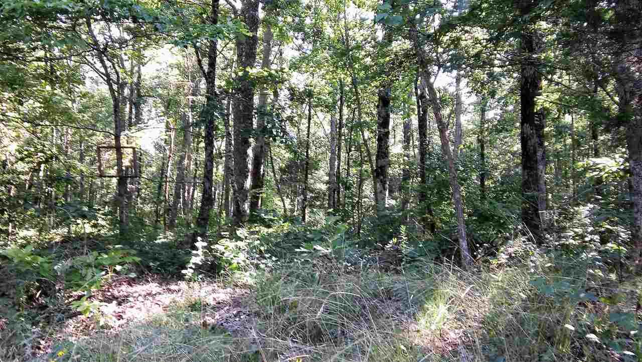 Wildrose Lane - Photo 1