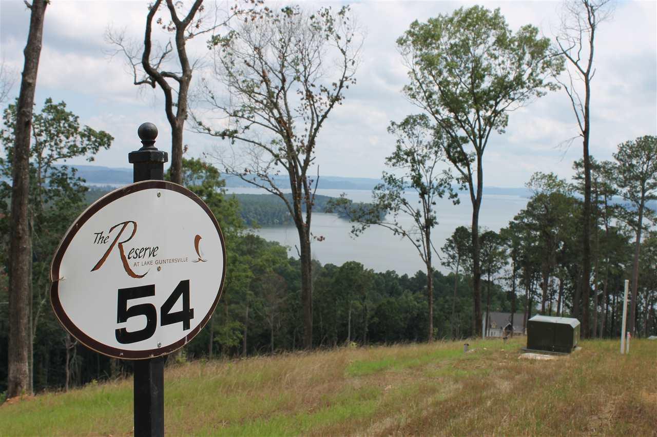 54 Fall Creek Drive - Photo 1