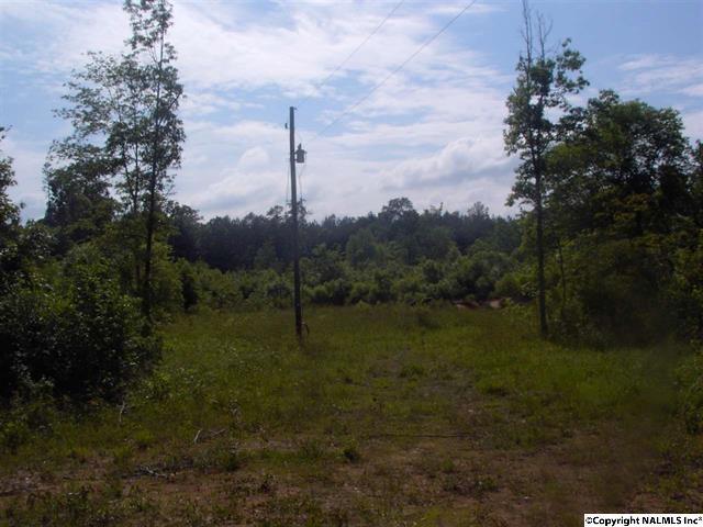 280 Friendship Road - Photo 1