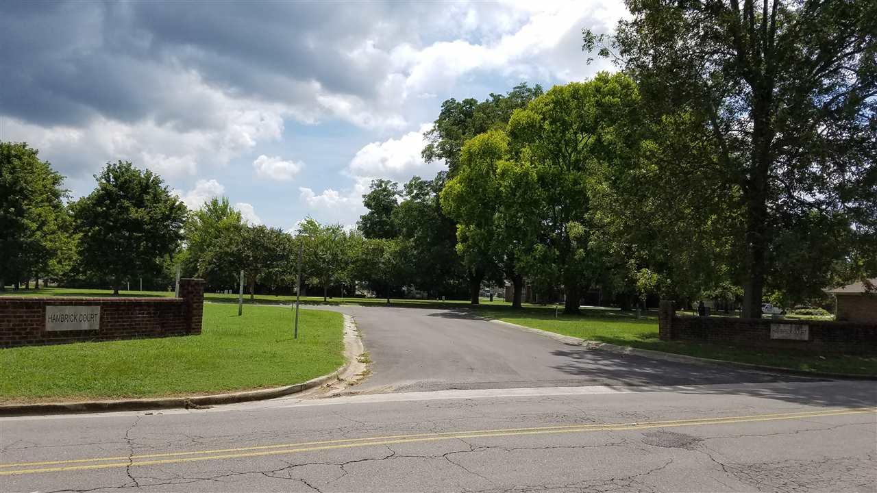 Ivy Park Circle - Photo 1