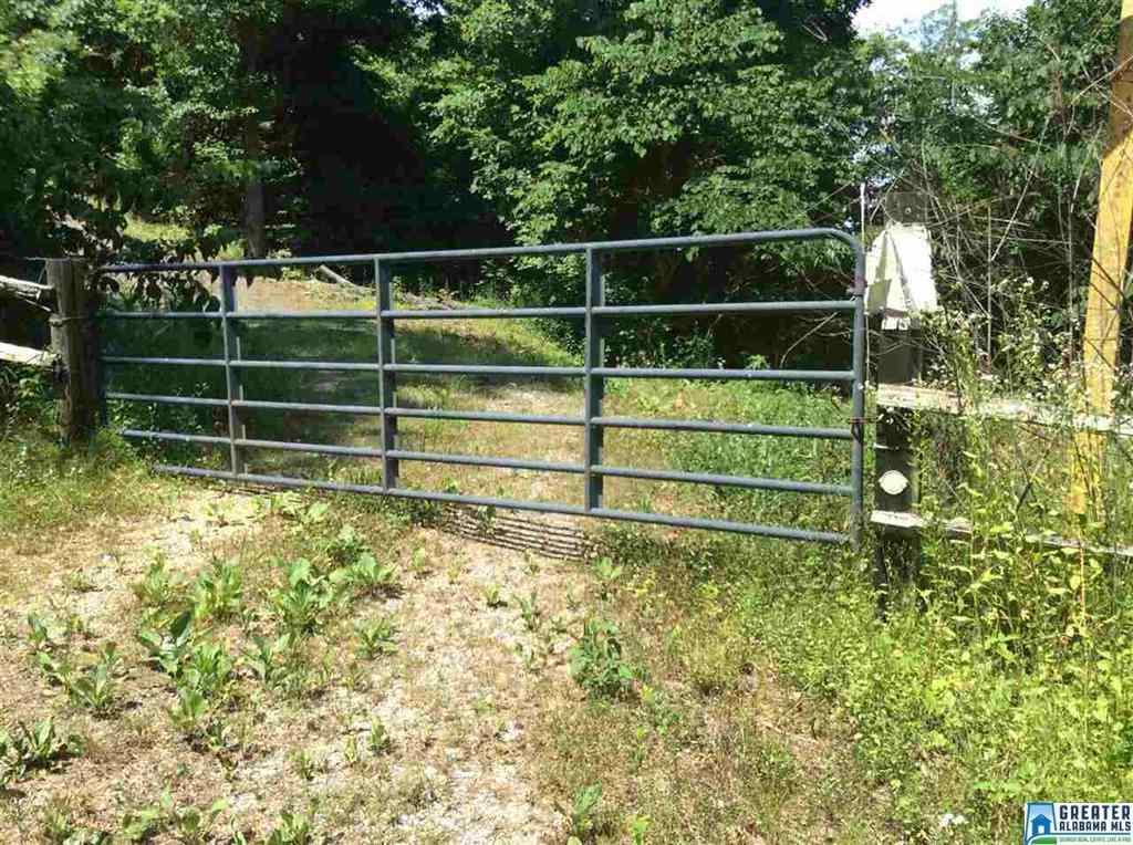 126 Campbell Gap - Photo 1