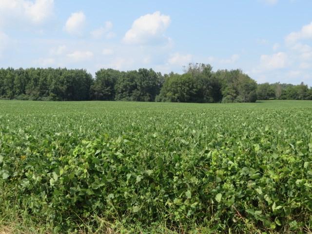 107 Childress Road - Photo 1
