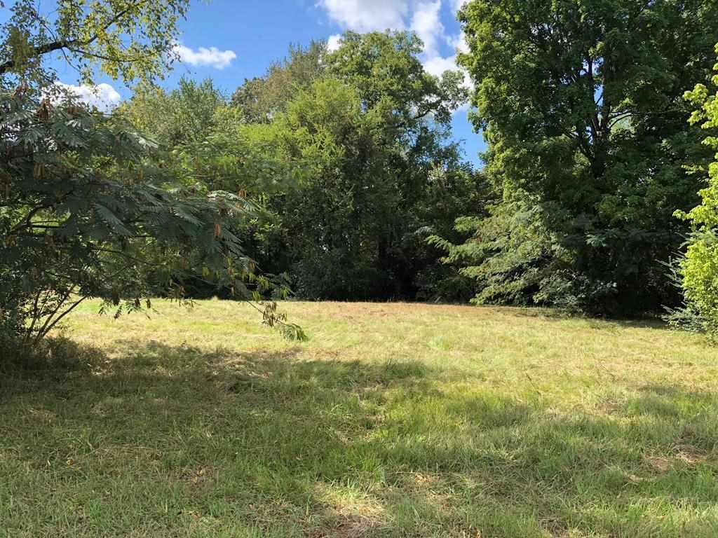 725 Cox Creek Parkway - Photo 1