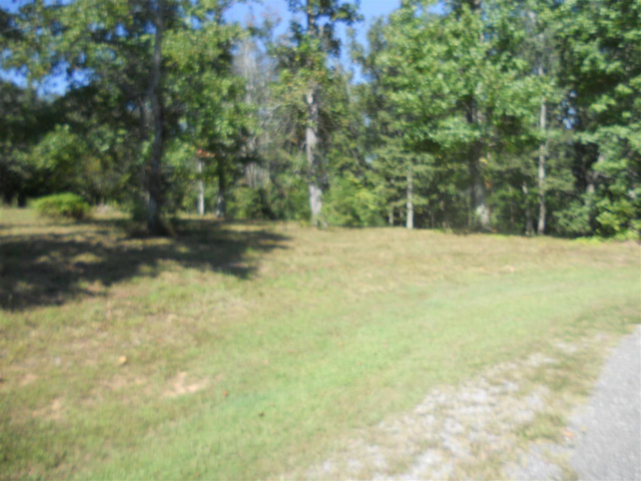 12 Chera Trail - Photo 1