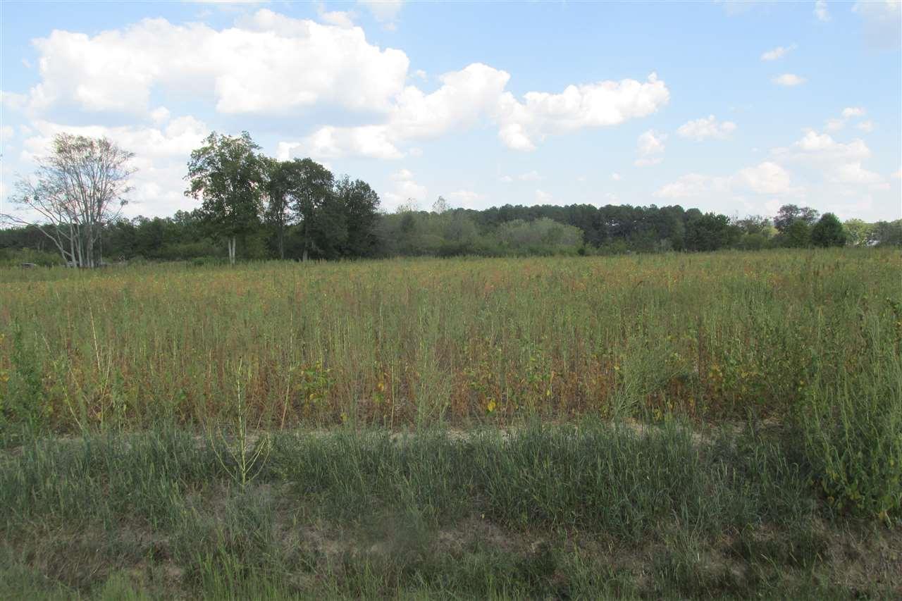 009 Us Hwy 431 - Photo 1