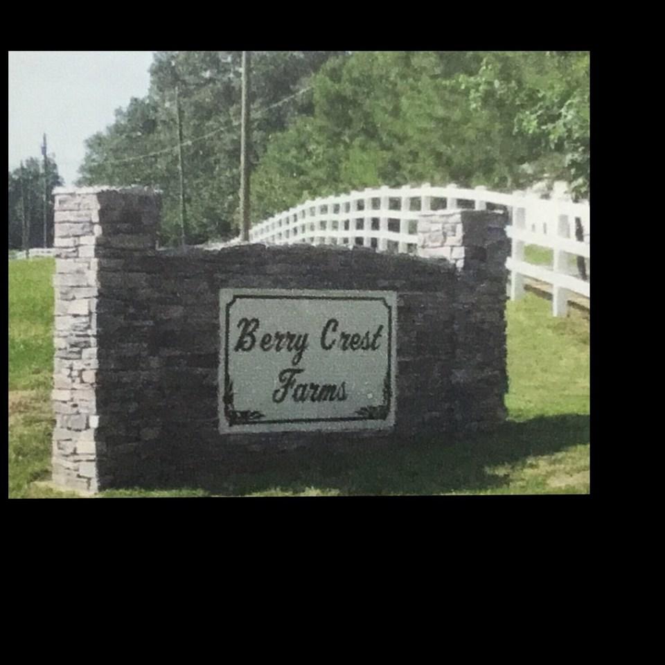 LOT 13 Berry Hill Lane - Photo 1