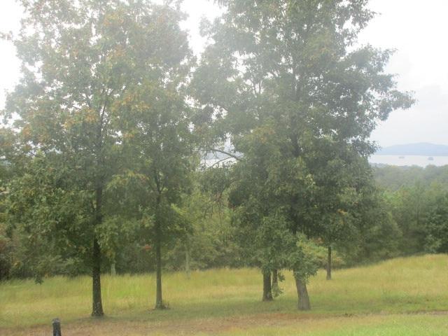 0 County Road 767 - Photo 1