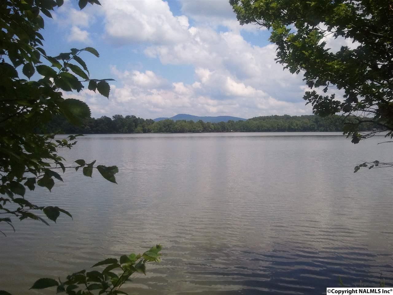 1170 County Road 251 - Photo 1