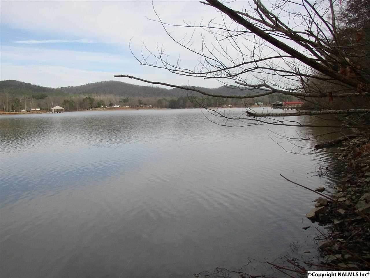 2203 Waldrop Road - Photo 1