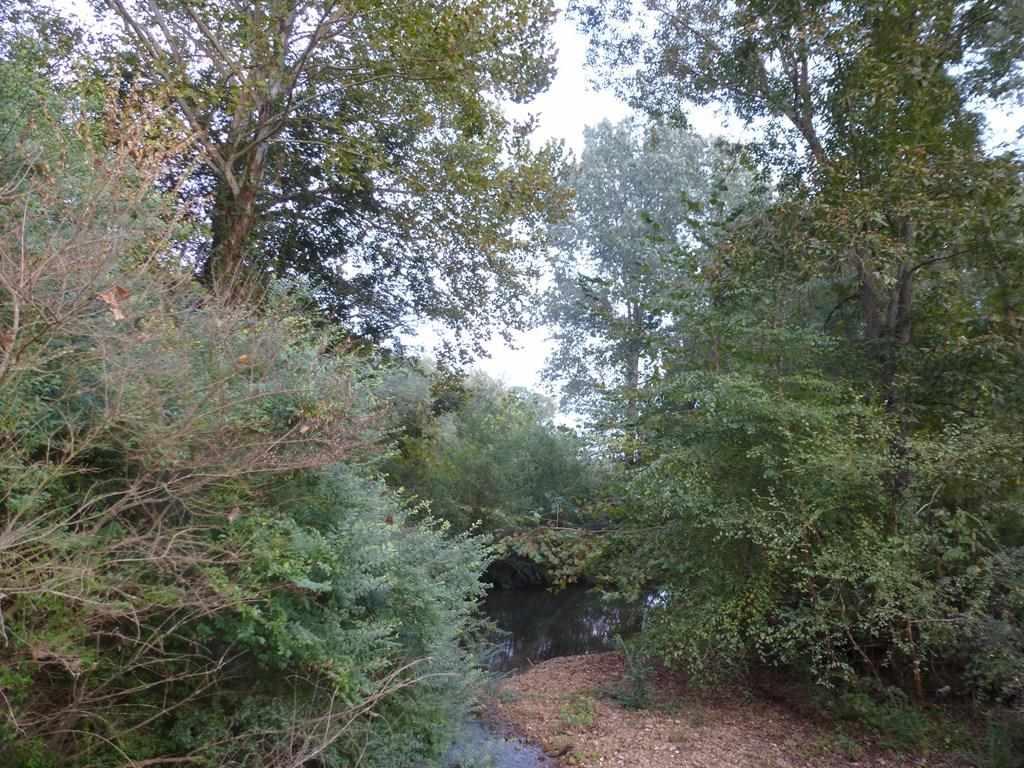 277 County Road 277 - Photo 1