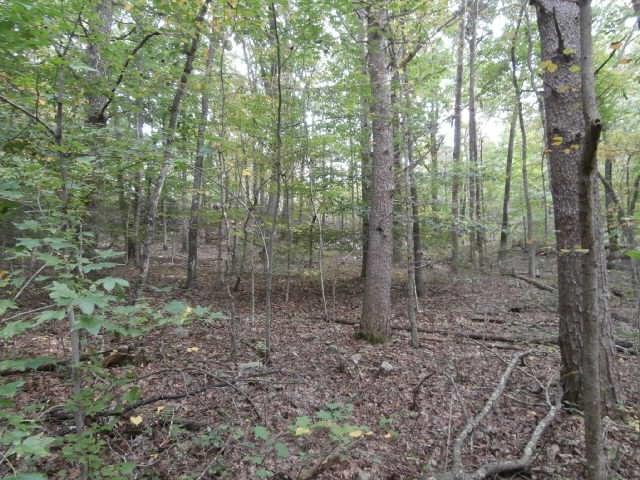 00 County Road 89 - Photo 1