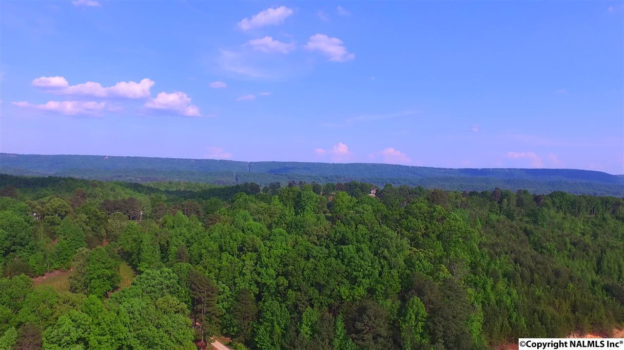 1571A County Road 751 - Photo 1