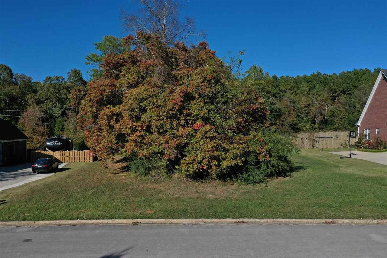 325 Cedar Trail Lane - Photo 1