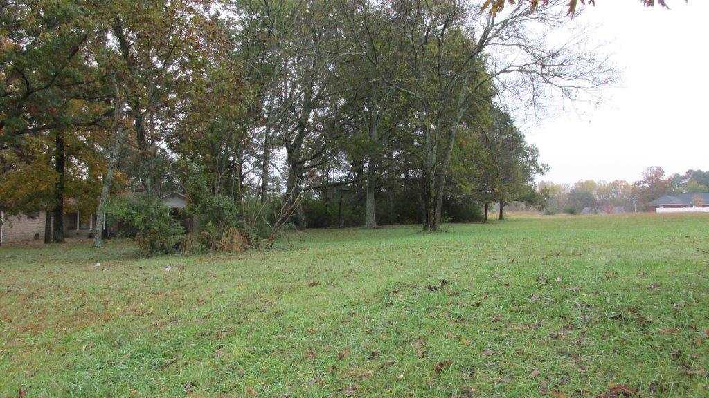 LOT 6 Thomason Road - Photo 1