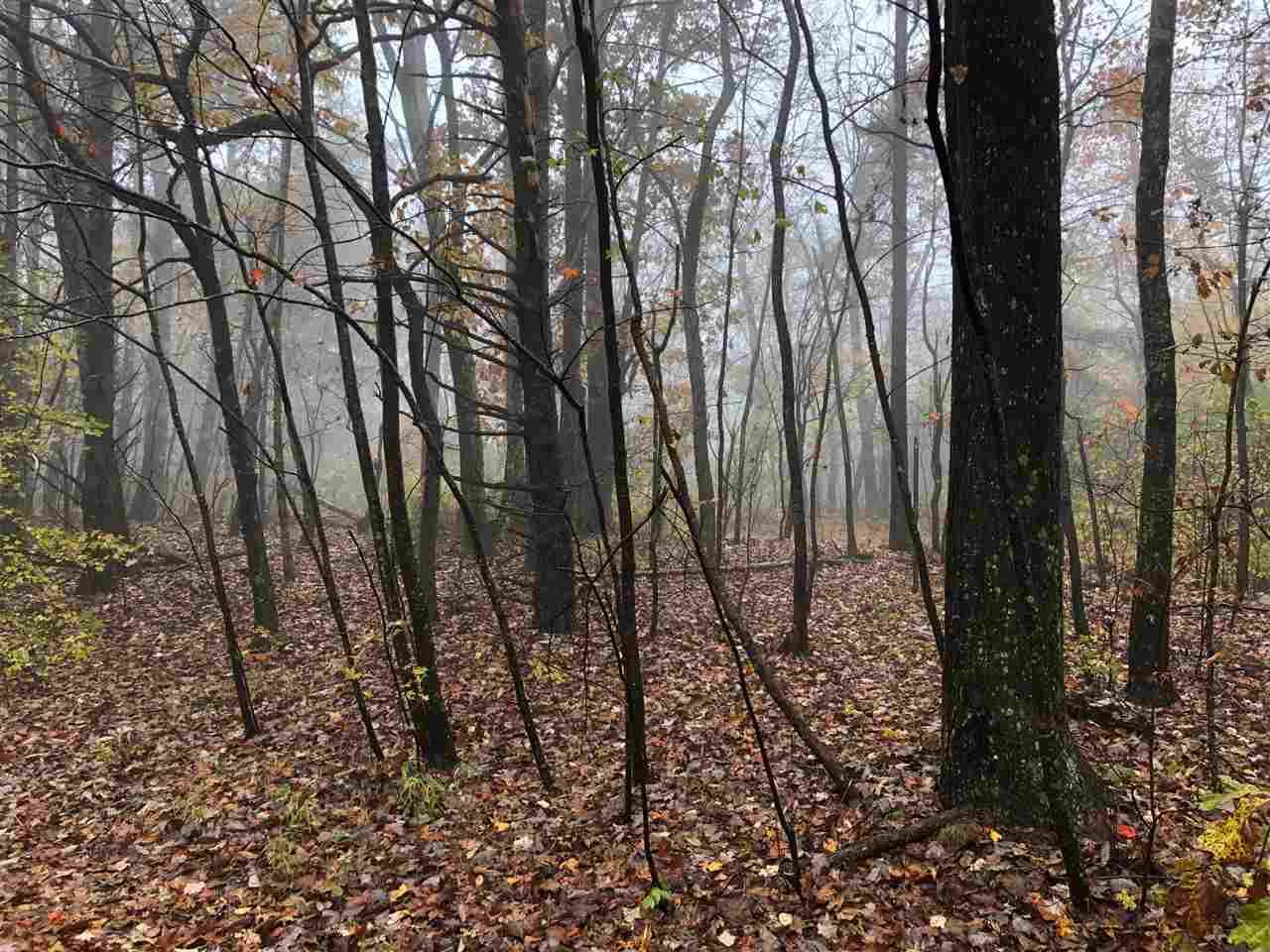 3 County Road 89 - Photo 1