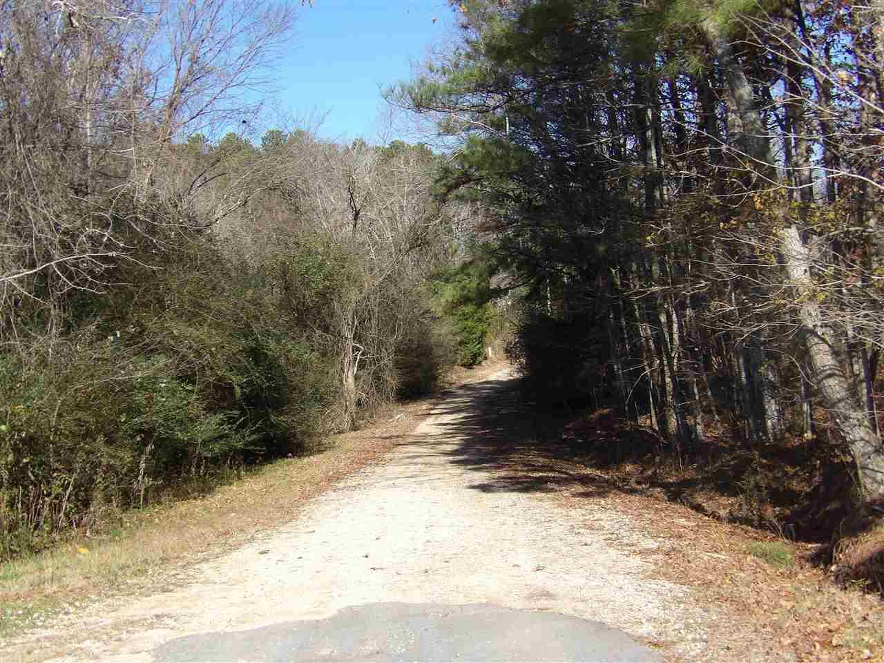 Lewis Mountain Road - Photo 1